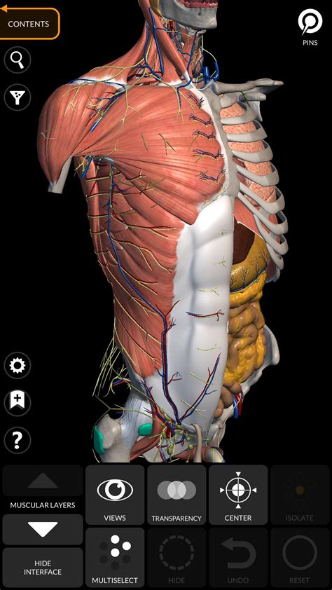 Atlas Anatomy Porn Videos 